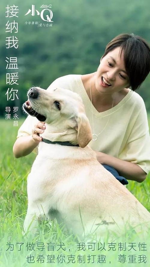 制作塞舌尔身份证